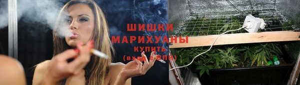 прущий лед Арсеньев