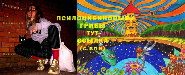 прущий лед Арсеньев