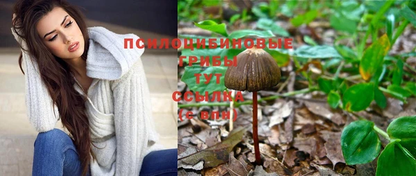 прущий лед Арсеньев