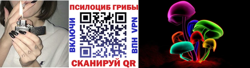Псилоцибиновые грибы Magic Shrooms  Пучеж 