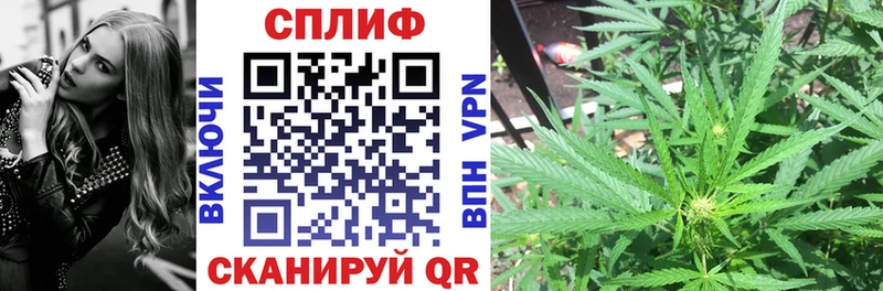 магазин продажи   Пучеж  Конопля SATIVA & INDICA 